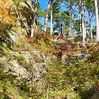 Вдоль экологического маршрута "Штангеевская тропа" на территории Ялтинского горно-лесного заповедника.