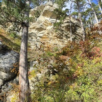Вдоль экологического маршрута "Штангеевская тропа" на территории Ялтинского горно-лесного заповедника.