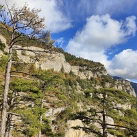 Вдоль экологического маршрута "Штангеевская тропа" на территории Ялтинского горно-лесного заповедника. Слева - скалистый обрыв южного склона Ялтинской яйлы.