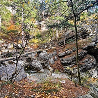 Пешеходный экологический маршрут "Штангеевская тропа" на территории Ялтинского горно-лесного заповедника. Мост через реку Водопадная.