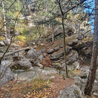 Пешеходный экологический маршрут "Штангеевская тропа" на территории Ялтинского горно-лесного заповедника. Мост через реку Водопадная.