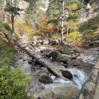 Пешеходный экологический маршрут "Штангеевская тропа" на территории Ялтинского горно-лесного заповедника. Мост через реку Водопадная.