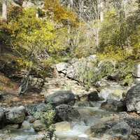 Вдоль экологического маршрута "Штангеевская тропа" на территории Ялтинского горно-лесного заповедника. Река Водопадная.