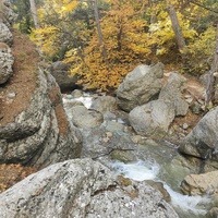 Вдоль экологического маршрута "Штангеевская тропа" на территории Ялтинского горно-лесного заповедника. Река Водопадная.