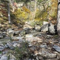 Вдоль экологического маршрута "Штангеевская тропа" на территории Ялтинского горно-лесного заповедника. Река Водопадная.