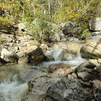 Вдоль экологического маршрута "Штангеевская тропа" на территории Ялтинского горно-лесного заповедника. Река Водопадная.