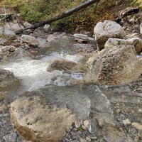 Вдоль экологического маршрута "Штангеевская тропа" на территории Ялтинского горно-лесного заповедника. Река Водопадная.