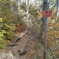 Пешеходный экологический маршрут "Штангеевская тропа" на территории Ялтинского горно-лесного заповедника. Информационная табличка "Экологическое кольцо" "Штангеевская тропа".