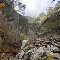 Вдоль экологического маршрута "Штангеевская тропа" на территории Ялтинского горно-лесного заповедника.