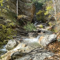 Вдоль экологического маршрута "Штангеевская тропа" на территории Ялтинского горно-лесного заповедника. Река Водопадная.