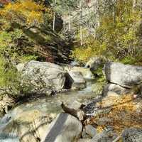 Вдоль экологического маршрута "Штангеевская тропа" на территории Ялтинского горно-лесного заповедника. Река Водопадная.