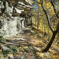 Пешеходный экологический маршрут "Штангеевская тропа" на территории Ялтинского горно-лесного заповедника.