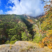 Вдоль экологического маршрута "Штангеевская тропа" на территории Ялтинского горно-лесного заповедника.