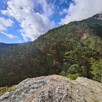 Вдоль экологического маршрута "Штангеевская тропа" на территории Ялтинского горно-лесного заповедника.
