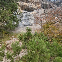 Вдоль экологического маршрута "Штангеевская тропа" на территории Ялтинского горно-лесного заповедника. Слева - скалистый обрыв южного склона Ялтинской яйлы.