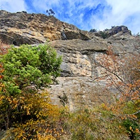 Скалистый обрыв южного склона Ялтинской яйлы вдоль экологического маршрута "Штангеевская тропа" на территории Ялтинского горно-лесного заповедника.