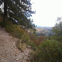 Пешеходный экологический маршрут "Штангеевская тропа" на территории Ялтинского горно-лесного заповедника. Вид в сторону Ялты.