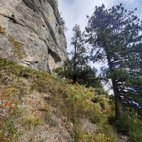 Пешеходный экологический маршрут "Штангеевская тропа" на территории Ялтинского горно-лесного заповедника. Слева - скалистый обрыв южного склона Ялтинской яйлы.