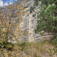 Скалистый обрыв южного склона Ялтинской яйлы вдоль экологического маршрута "Штангеевская тропа" на территории Ялтинского горно-лесного заповедника.