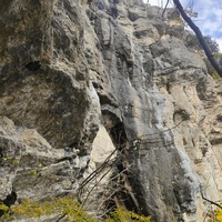 Скалистый обрыв южного склона Ялтинской яйлы вдоль экологического маршрута "Штангеевская тропа" на территории Ялтинского горно-лесного заповедника.