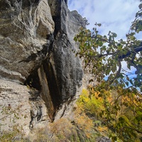 Скалистый обрыв южного склона Ялтинской яйлы вдоль экологического маршрута "Штангеевская тропа" на территории Ялтинского горно-лесного заповедника.