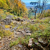 Пешеходный экологический маршрут "Штангеевская тропа" на территории Ялтинского горно-лесного заповедника. Вид от водопада перед Чёртовым мостом в сторону Ялты.