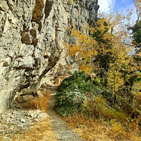 Скалистый обрыв южного склона Ялтинской яйлы вдоль экологического маршрута "Штангеевская тропа" на территории Ялтинского горно-лесного заповедника.