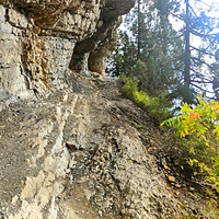 Скалистый обрыв южного склона Ялтинской яйлы вдоль экологического маршрута "Штангеевская тропа" на территории Ялтинского горно-лесного заповедника.