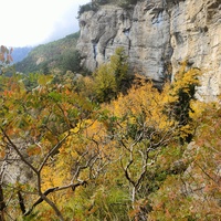 Скалистый обрыв южного склона Ялтинской яйлы вдоль экологического маршрута "Штангеевская тропа" на территории Ялтинского горно-лесного заповедника.