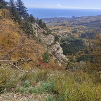 Скалистый обрыв южного склона Ялтинской яйлы вдоль экологического маршрута "Штангеевская тропа" на территории Ялтинского горно-лесного заповедника.