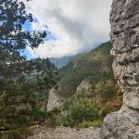 Скалистый обрыв южного склона Ялтинской яйлы вдоль экологического маршрута "Штангеевская тропа" на территории Ялтинского горно-лесного заповедника.