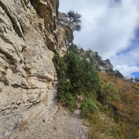 Скалистый обрыв южного склона Ялтинской яйлы вдоль экологического маршрута "Штангеевская тропа" на территории Ялтинского горно-лесного заповедника.