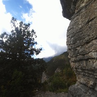 Скалистый обрыв южного склона Ялтинской яйлы вдоль экологического маршрута "Штангеевская тропа" на территории Ялтинского горно-лесного заповедника.