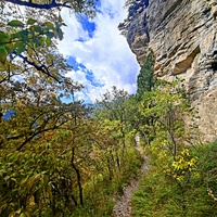 Скалистый обрыв южного склона Ялтинской яйлы вдоль экологического маршрута "Штангеевская тропа" на территории Ялтинского горно-лесного заповедника.