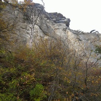 Скалистый обрыв южного склона Ялтинской яйлы вдоль экологического маршрута "Штангеевская тропа" на территории Ялтинского горно-лесного заповедника.