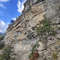 Скалистый обрыв южного склона Ялтинской яйлы вдоль экологического маршрута "Штангеевская тропа" на территории Ялтинского горно-лесного заповедника.