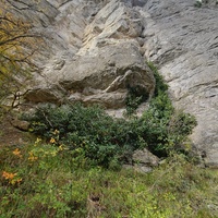 Скалистый обрыв южного склона Ялтинской яйлы вдоль экологического маршрута "Штангеевская тропа" на территории Ялтинского горно-лесного заповедника.