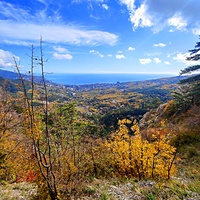 Вдоль экологического маршрута "Штангеевская тропа" около утёса Ставри-Кая на территории Ялтинского горно-лесного заповедника. Вид в сторону Ялты.
