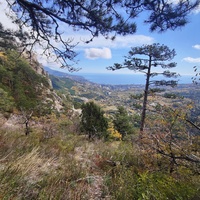 Вдоль экологического маршрута "Штангеевская тропа" около утёса Ставри-Кая на территории Ялтинского горно-лесного заповедника.