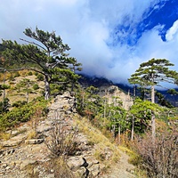 Пешеходный экологический маршрут "Штангеевская тропа" около утёса Ставри-Кая на территории Ялтинского горно-лесного заповедника.