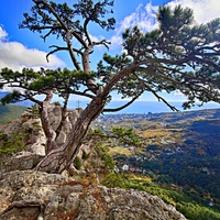 Утёс Ставри-Кая, расположенный на хребте отрога Ялтинской яйлы в Ялтинском горно-лесном заповеднике. Вид со Штангеевской тропы.