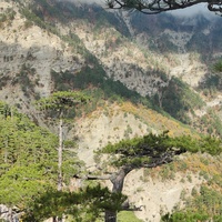 Пешеходный экологический маршрут "Штангеевская тропа" на утёсе Ставри-Кая на территории Ялтинского горно-лесного заповедника. Вид с утёса.