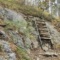 Пешеходный экологический маршрут "Боткинская тропа" перед утёсом Ставри-Кая на территории Ялтинского горно-лесного заповедника. Лестница с металлическим карасом и деревянными ступенями для спуска к утёсу.Деревянная