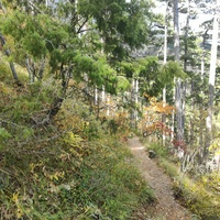 Пешеходный экологический маршрут "Боткинская тропа" перед утёсом Ставри-Кая на территории Ялтинского горно-лесного заповедника.