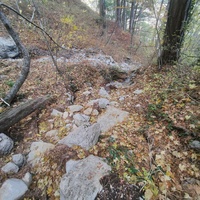 Пешеходный экологический маршрут "Боткинская тропа" на территории Ялтинского горно-лесного заповедника.