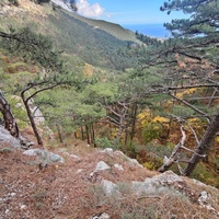 Вдоль пешеходного экологического маршрута "Боткинская тропа" на территории Ялтинского горно-лесного заповедника. Внизу - ущелье Яузлар и далее - хребет Иограф.