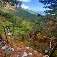 Вдоль пешеходного экологического маршрута "Боткинская тропа" на территории Ялтинского горно-лесного заповедника. Внизу - ущелье Яузлар и далее - хребет Иограф.