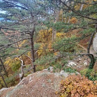 Вдоль пешеходного экологического маршрута "Боткинская тропа" на территории Ялтинского горно-лесного заповедника.