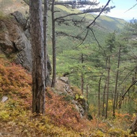 Вдоль пешеходного экологического маршрута "Боткинская тропа" на территории Ялтинского горно-лесного заповедника.