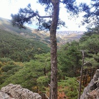 Вдоль пешеходного экологического маршрута "Боткинская тропа" на территории Ялтинского горно-лесного заповедника. Вид в сторону Ялты.